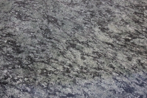 61